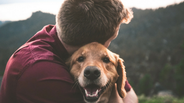 Madhya Pradesh: Neighbors fight over dogs: Two shot dead!