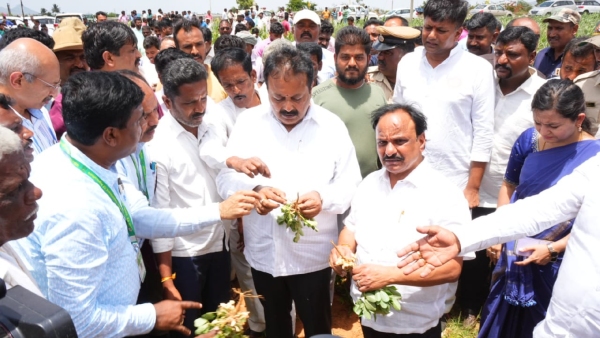 drought-declaration-concluded