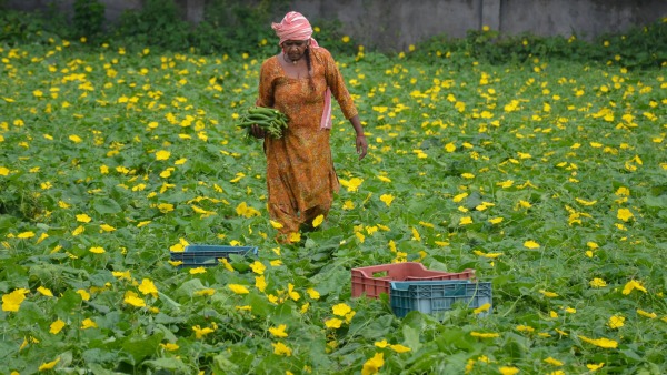 How To Use Application For Farmers Crop Survey 