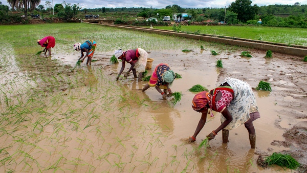 farmers-suffering-from-shortage-of-rain