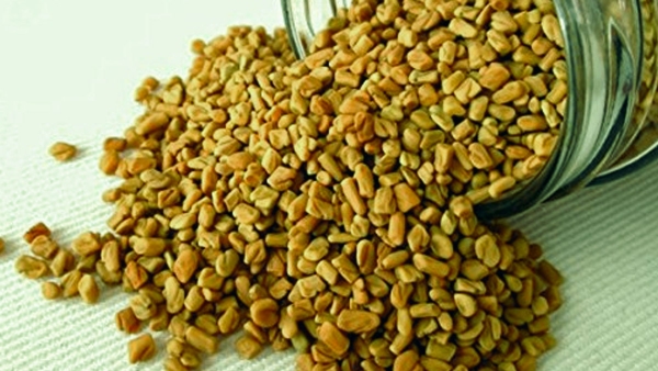 Impressive Health Benefits Of Fenugreek Seeds (Maithi) For Skin And Hair In Kannada 