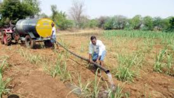 Farmers Using Sewage Water For Agriculture In Gadag 