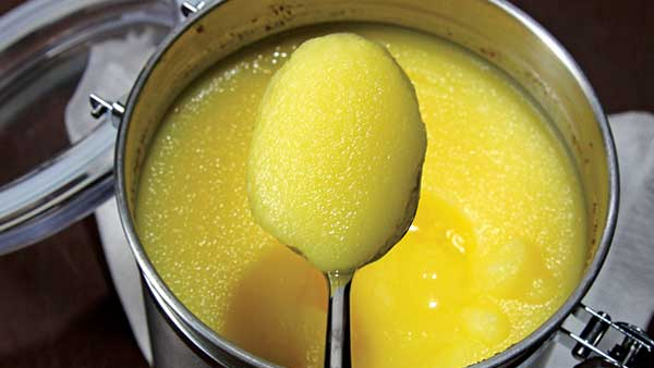 TTD rejected 42 Truckloads of Cow Ghee in the last 1 year for failing to meet Standards