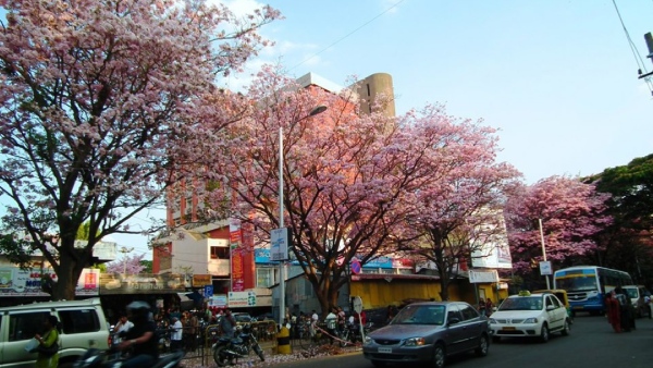 Bengauluru’s most well-planned neighborhoods, Jayanagar, celebrated its diamond jubilee Bengauluru’s most well-planned neighborhoods, Jayanagar, celebrated its diamond jubilee