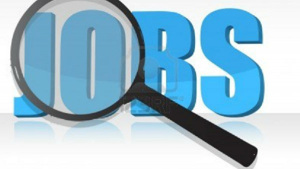 The IT Sector Is Expected To See A Decline Of 1.5 Lakh In Key Recruitment