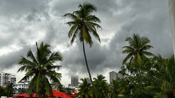 karnataka-rains karnataka-rains