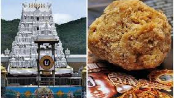KMF Initiates Negotiation with TTD for Nandhini Ghee Supply for Tirupati Laddu KMF Initiates Negotiation with TTD for Nandhini Ghee Supply for Tirupati Laddu