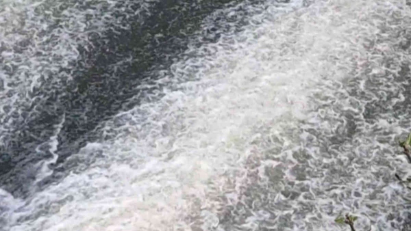 know-special-of-devarabelakere