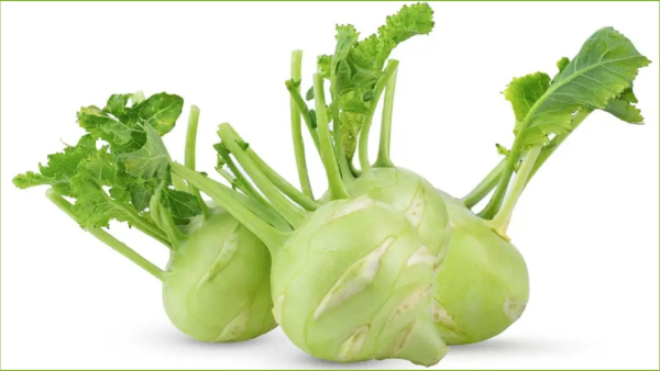 Amazing Health Benefits of Kohlrabi (Navilu Kosu) Along with Its Nutritional Value in Kannada