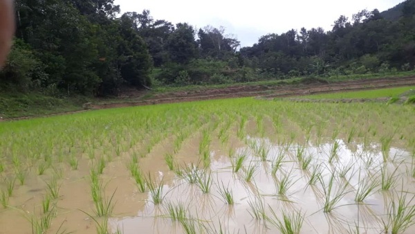 Kodagu Gets Less Rain: Water Level In KRS Decreased
