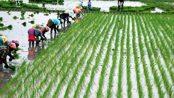 KRS dam water decreasing very fast after releasing water to Tamil Nadu