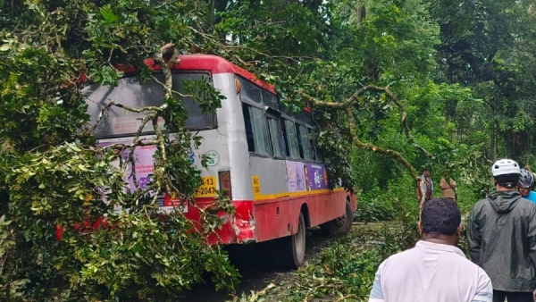ksrtc-bus-rans-into-tree