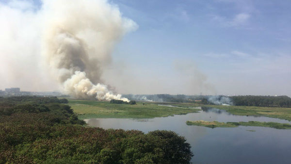 Now less than 30 percent water in Bangalores 50 lakes, what is the next step? 