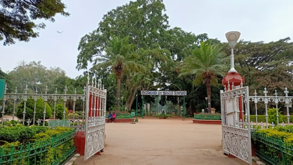 Lalbaghs Wasteland Transforming into a Mini Western Ghats Ecosystem