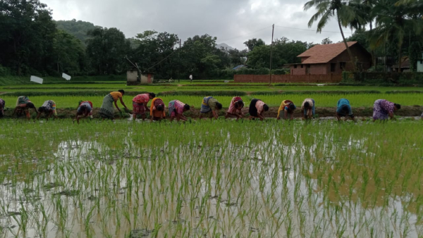 less-rain-fall-from-last-one-week