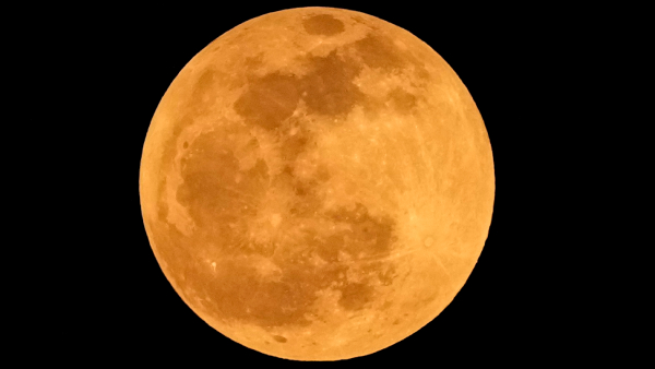Discover why Russian Luna 25 lander crash on moon is a biggest loss for humans 