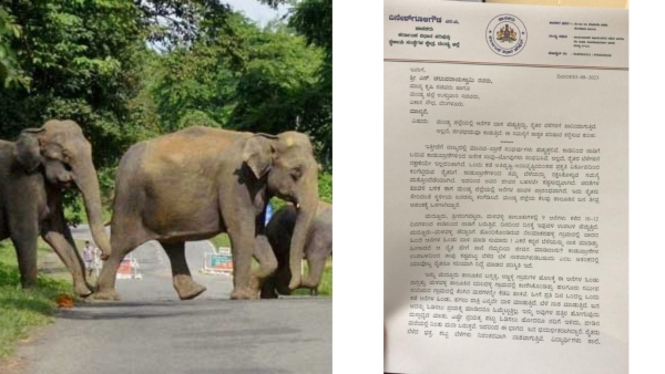 Dinesh Gooligowda A Request For A Permanent Solution To The Problem Of Elephant Attacks 