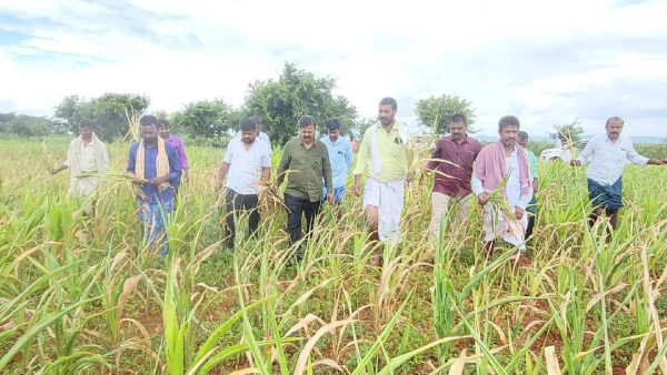 Former MLA MP Renukacharya Lashes Out At BJP Leaders