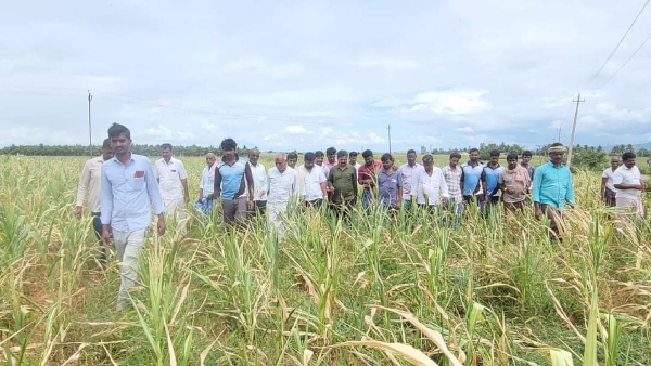 Former MLA MP Renukacharya Lashes Out At BJP Leaders