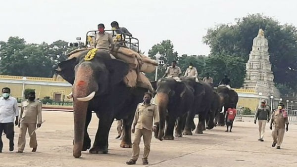 Mysore Dasara Elephants Arrival