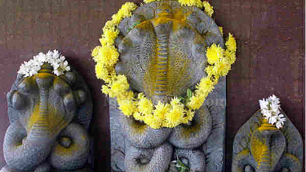 Naga panchami 2023: Naga panchami Dos and Donts: Everything you need to know