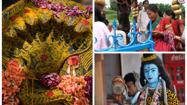 Naga panchami 2023: naga panchami 2023: why snake worshipped on this holy day details in kannada
