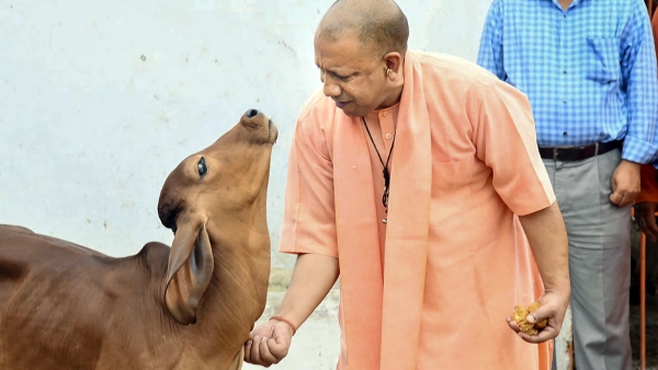 new-it-hub-in-lucknow new-it-hub-in-lucknow