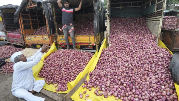 onion-farmers