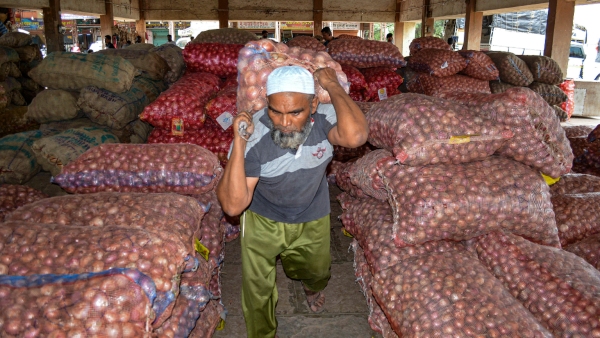 onion-farmers