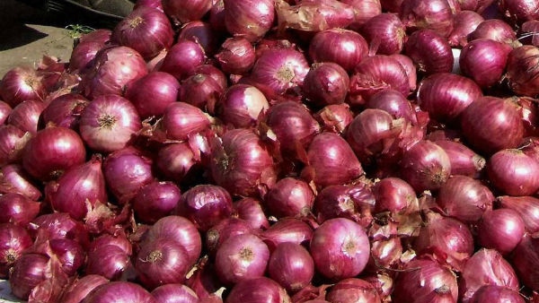 Central Govt Start Releasing Buffer Stock Onion To Markets For Control rein prices