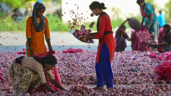 Onion price hike is tensioning middle class after Tomato