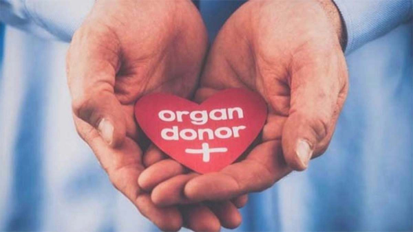 organ-donors-and-transplants-data
