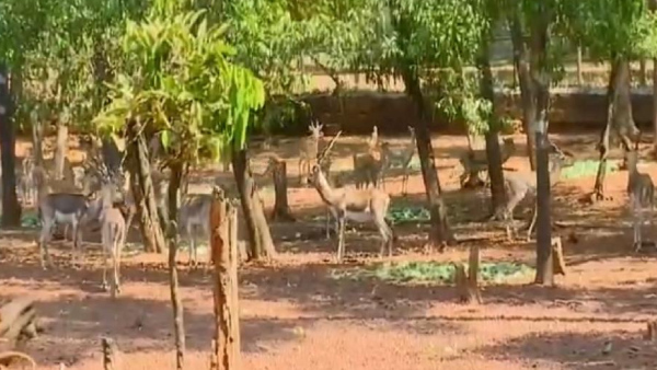 pilikula-biological-park