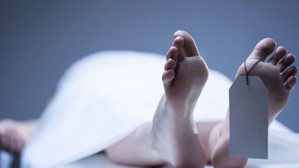 Discover how many deaths in Police custody from last 5 years