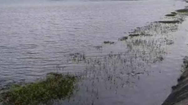 Raichur District Local Administration Has Failed To Conserve Water Source