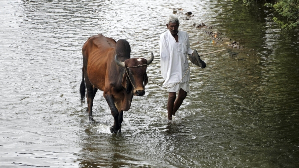 IMD issues heavy rain alert in these states for the weekend, check full list