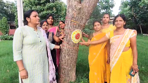 Women celebrated Raksha Bandhan by tying rakhi to trees Women celebrated Raksha Bandhan by tying rakhi to trees