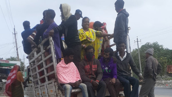 Laborers Scarcity For Remove Weeds In Cotton Crop At Raichur