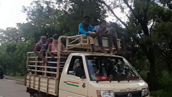 Laborers Scarcity For Remove Weeds In Cotton Crop At Raichur
