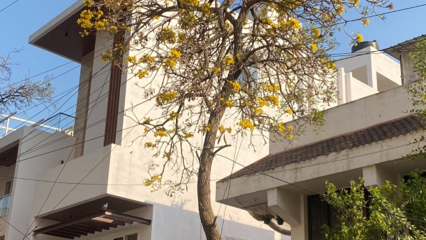 rent-in-bengaluru-gst-burden-owners-decision rent-in-bengaluru-gst-burden-owners-decision