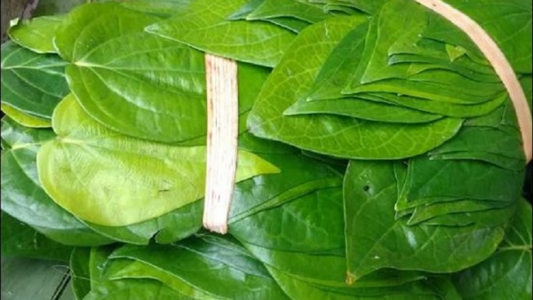 save-mysore-jasmine-banana-betel-leaves