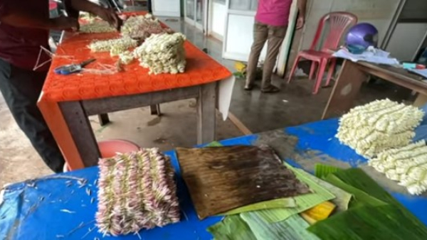 shankarapura-jasmine