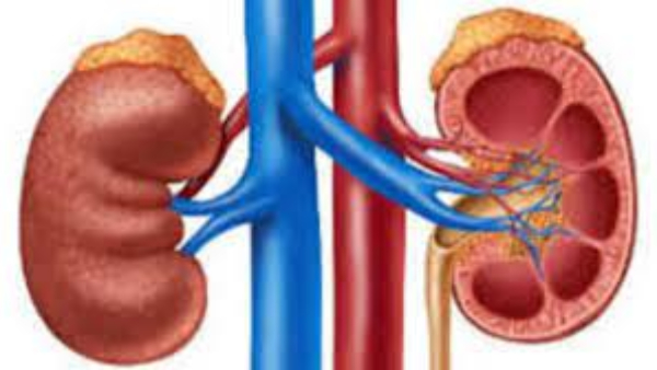 sister-gave-kidney-to-her-brother sister-gave-kidney-to-her-brother