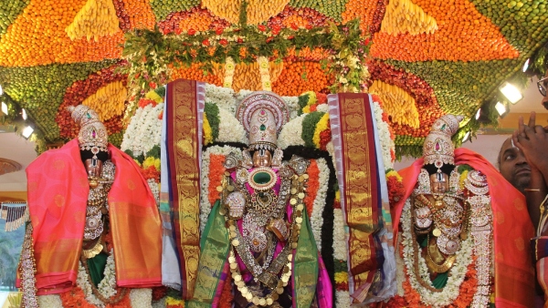 Tirupati Tirumala Pilgrims Will Now Have To Carry A Wooden Stick. Heres Why Tirupati Tirumala Pilgrims Will Now Have To Carry A Wooden Stick. Heres Why