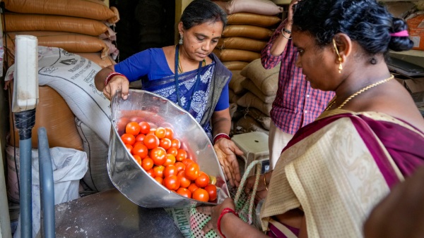 Single tomato sold out in Bengaluru Market: Do you know how much it costs? 