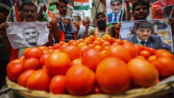 Paytm sells nearly 6,000 kg tomatoes within a week- Know the interesting details