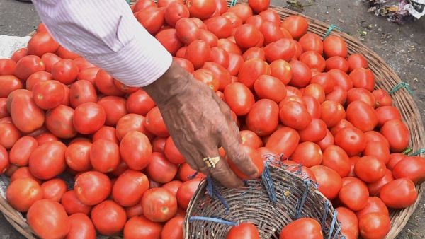 Tomato import to India started from Nepal