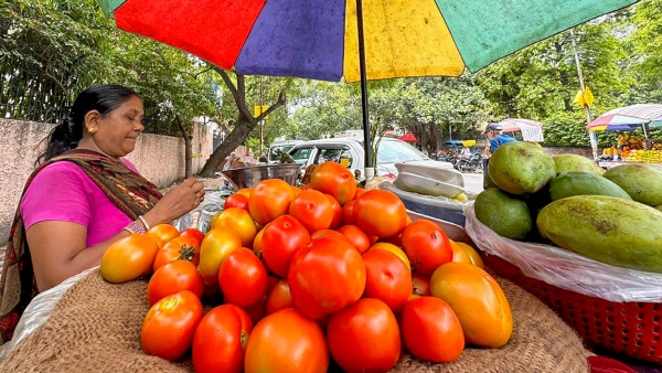 Tomato price getting low day by day in Karnataka 