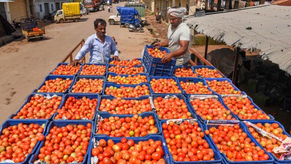 Tomato and Ginger garland found in AAP MP neck at Rajya Sabha 