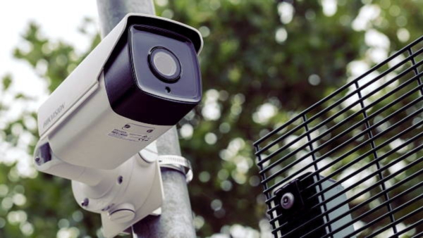 A farmer installed CCTV in the entire field due to the fear of tomato theft 